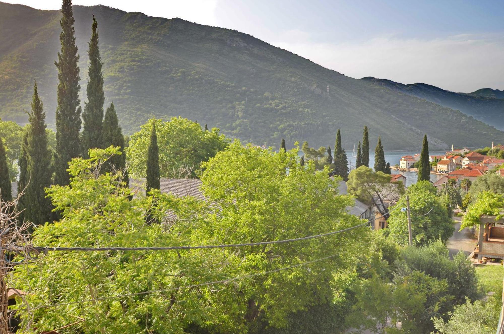 Apartments Dinko Zifra Tivat Bilik gambar